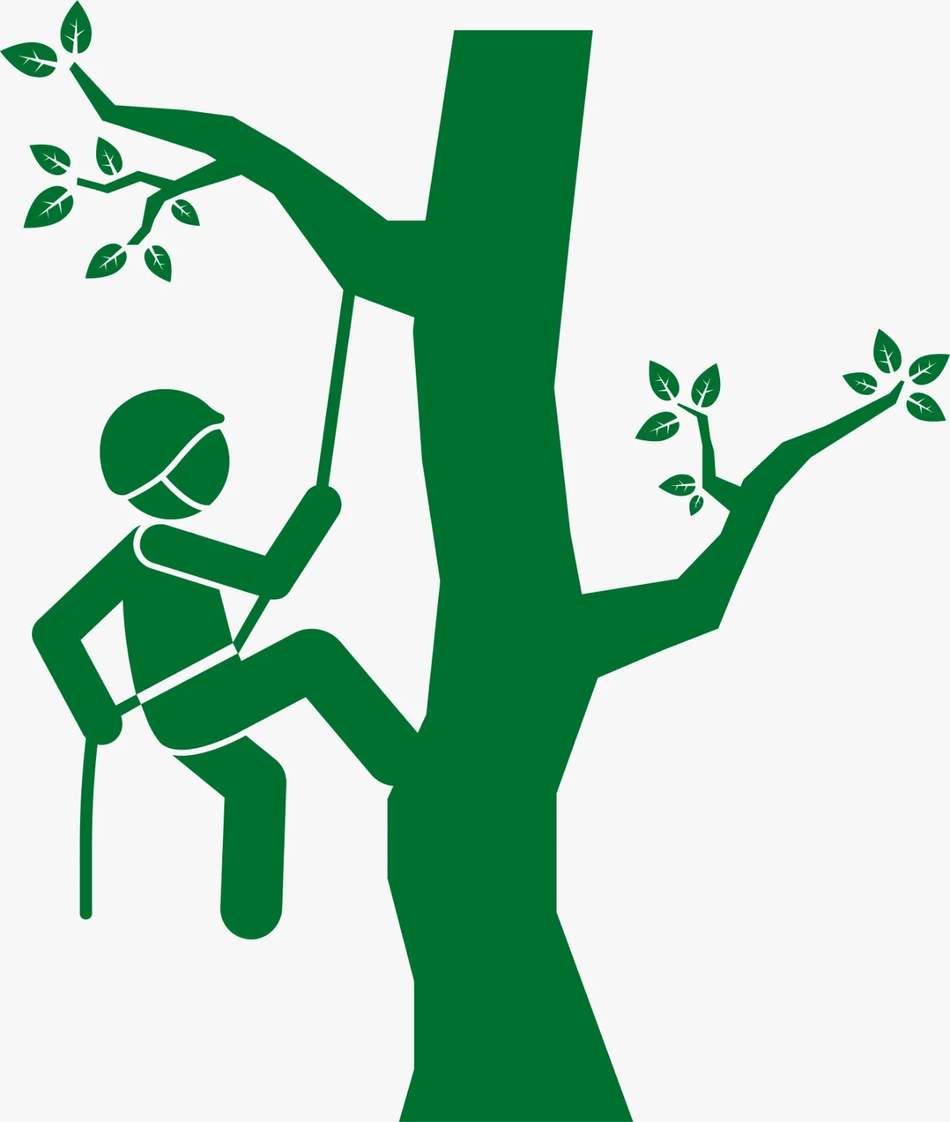 Panoramabild från arboristarbete i trädkrona